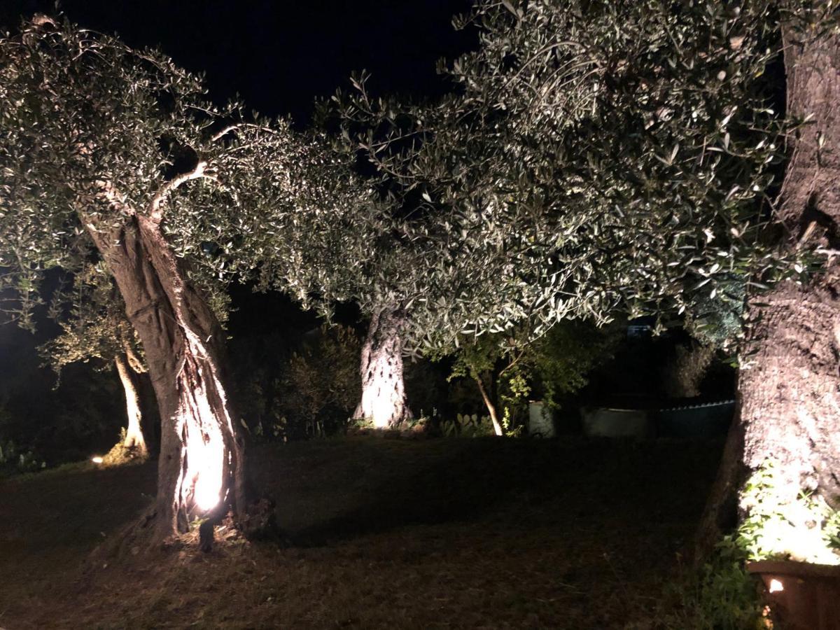 Villa Casa Sofia Dassia  Esterno foto