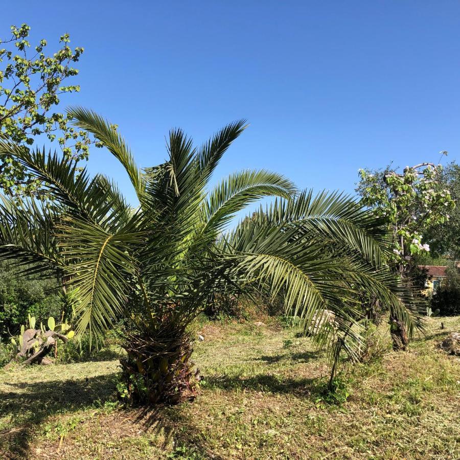 Villa Casa Sofia Dassia  Esterno foto