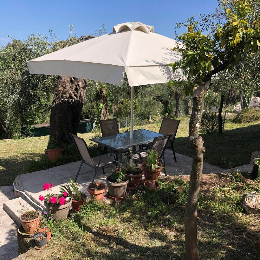 Villa Casa Sofia Dassia  Esterno foto