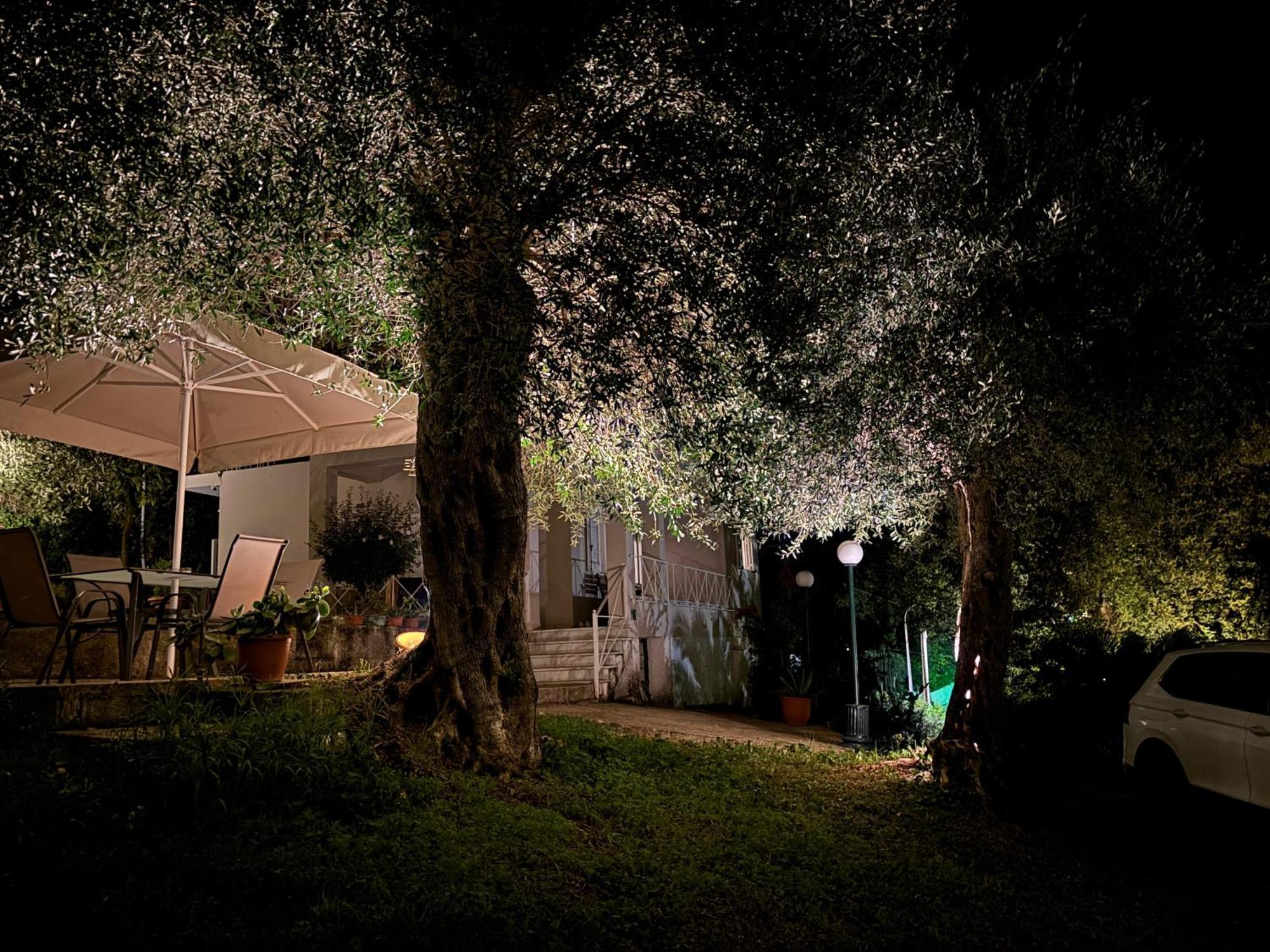 Villa Casa Sofia Dassia  Esterno foto